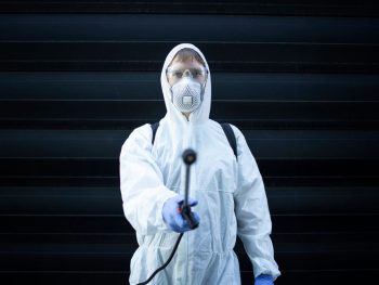 Black Mold Removal in Los Angeles