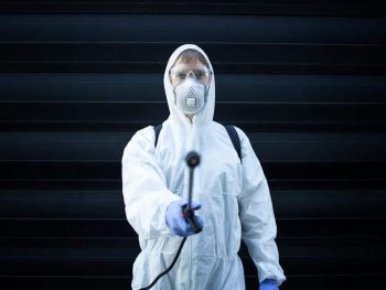 Black Mold Removal in Los Angeles